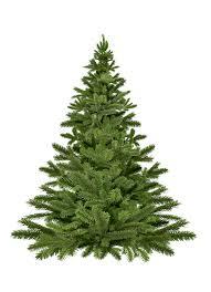 Une seconde vie pour votre sapin de Noël